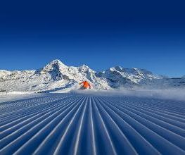 Jungfrau Ski Region - Kleine Scheidegg - Männlichen - Wengen Bild 5