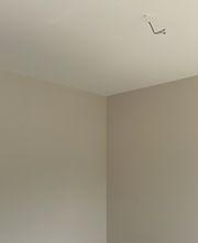 Farbliche Wandgestaltung auf Glattvlies