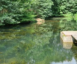 Camping Erbenwald Bild 14