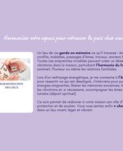 Papillon de Lumière image 7