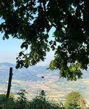 Bergwirtschaft Vorder Brandberg Bild 10