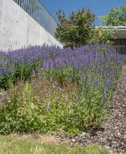 Emmenegger Garten- Tiefbau AG Bild 8