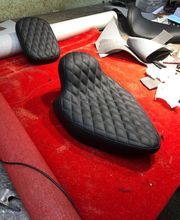 Sellerie Vigneulle image 19