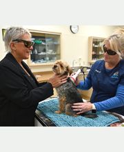 North Buffalo Animal Hospital image 8