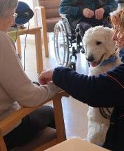 Malteser Hilfsdienst Bild 9