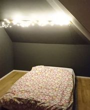 Malergeschäft Monika Brändle GmbH Bild 8