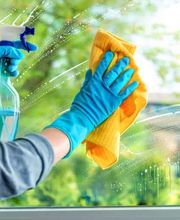 Sauber Pro Max Bild 4