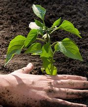 La Vie Claire Soyaux image 2