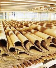 Cartonajes Vahl imagen 9