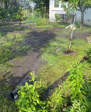 B.T. Gartenbau Bild 14