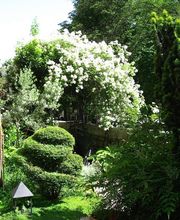 Pascal Olivier Architecte paysagiste conseils Bild 7