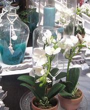 tienda-01.jpg