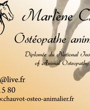 Marlène Chauvot Ostéopathe Animalier image 1