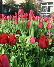 Karl-Olga-Krankenhaus GmbH Bild 3