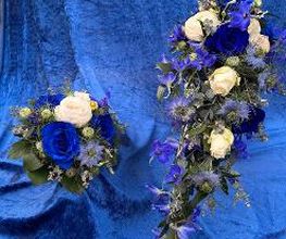 Blumen Haider Bild 19