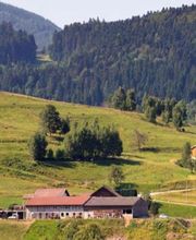 Centre Hippique la Jumenterie image 1