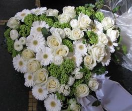 Blumen Siebrecht Bild 6