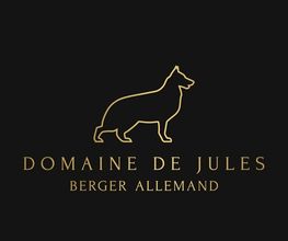 Domaine de Jules image 5
