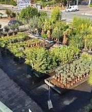 Villaverde Hyères image 17