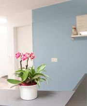 Kleintierpraxis Dr. Claudia Keller Bild 9