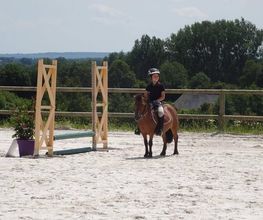 Centre Equestre De Serqueux image 5