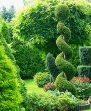 Bont Gartenbau und Gartenpflege AG Bild 1