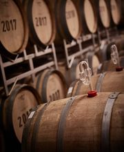 Weingut Hubertus M. Apel Bild 7