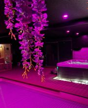 Gîte avec Spa & Piscine privatif - La Fénardière - (Calais - Marck) image 2