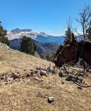 Les Sabots de Vénus image 7