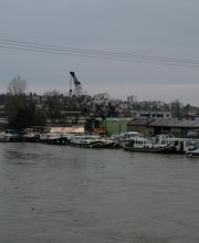 EVANS MARINE INTERNATIONAL image 12