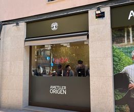 Ametller Origen imagen 1
