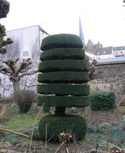 Main Verte Service image 1