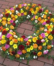 Gartencenter A-Z Velbert GmbH Bild 1