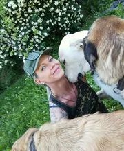 Projekt Geistreich Bild 2