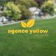 Agence Yellow