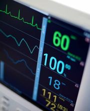 Bettina Scholz Bild 1