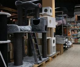 Habekost Heimtiermarkt Bild 14