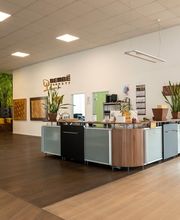 Bembé Parkett Bild 2