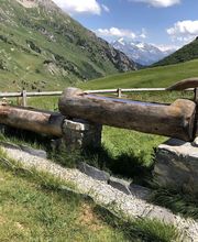 Alp Agence image 5