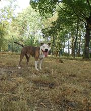 Les Moustaches en Vacances image 16