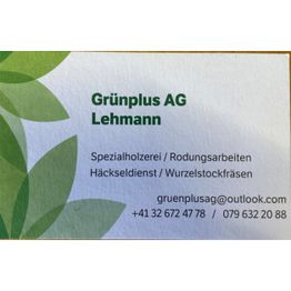 Grünplus AG Lehmann