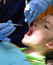 Hogan & Graceffo Dental Services, PLLC image 19