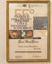 Gallery Professionale