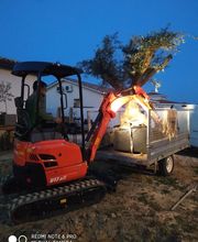 Les Jardins du Plateau image 3