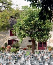 La Campagnoise image 6