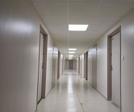 PASCALAURAPLUS image 4