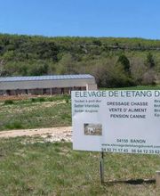 Elevage de L'étang Du Vert image 11