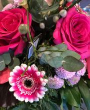 Blumenhaus Knagge Bild 10
