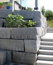 Wild Gartenbau AG Bild 1