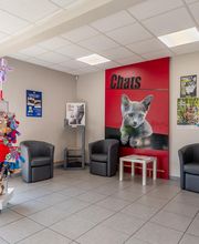 Clinique Vétérinaire Mon Véto Bourg-achard image 8